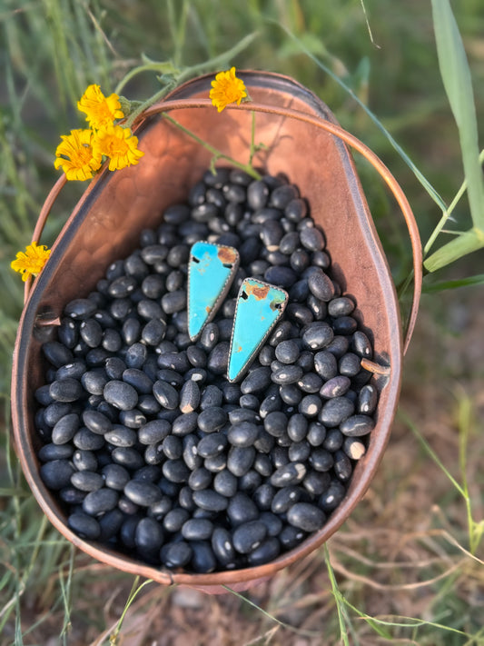 The Arrowhead Earrings