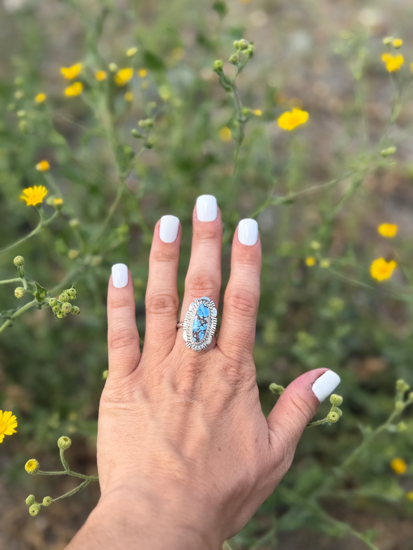 The Jay Ring