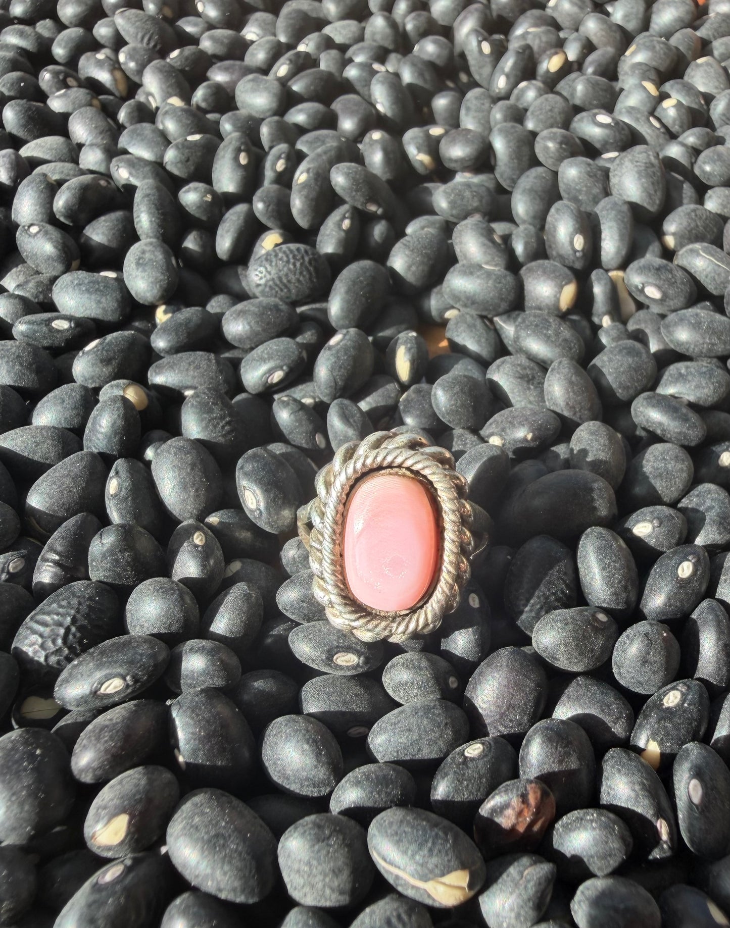The Flamingo Ring