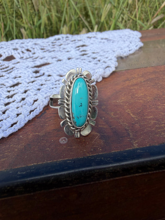 The Arya Ring