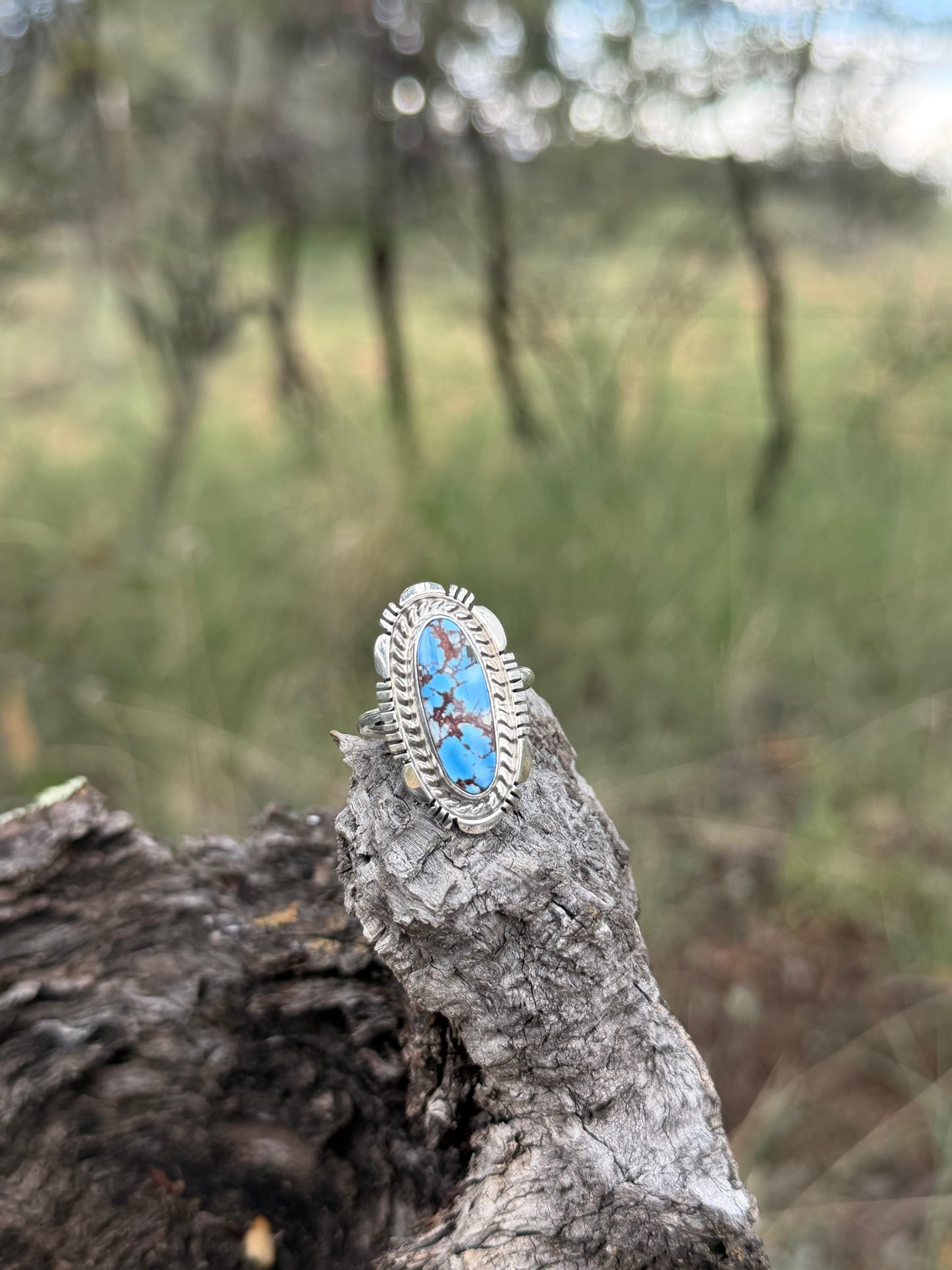 The Jay Ring