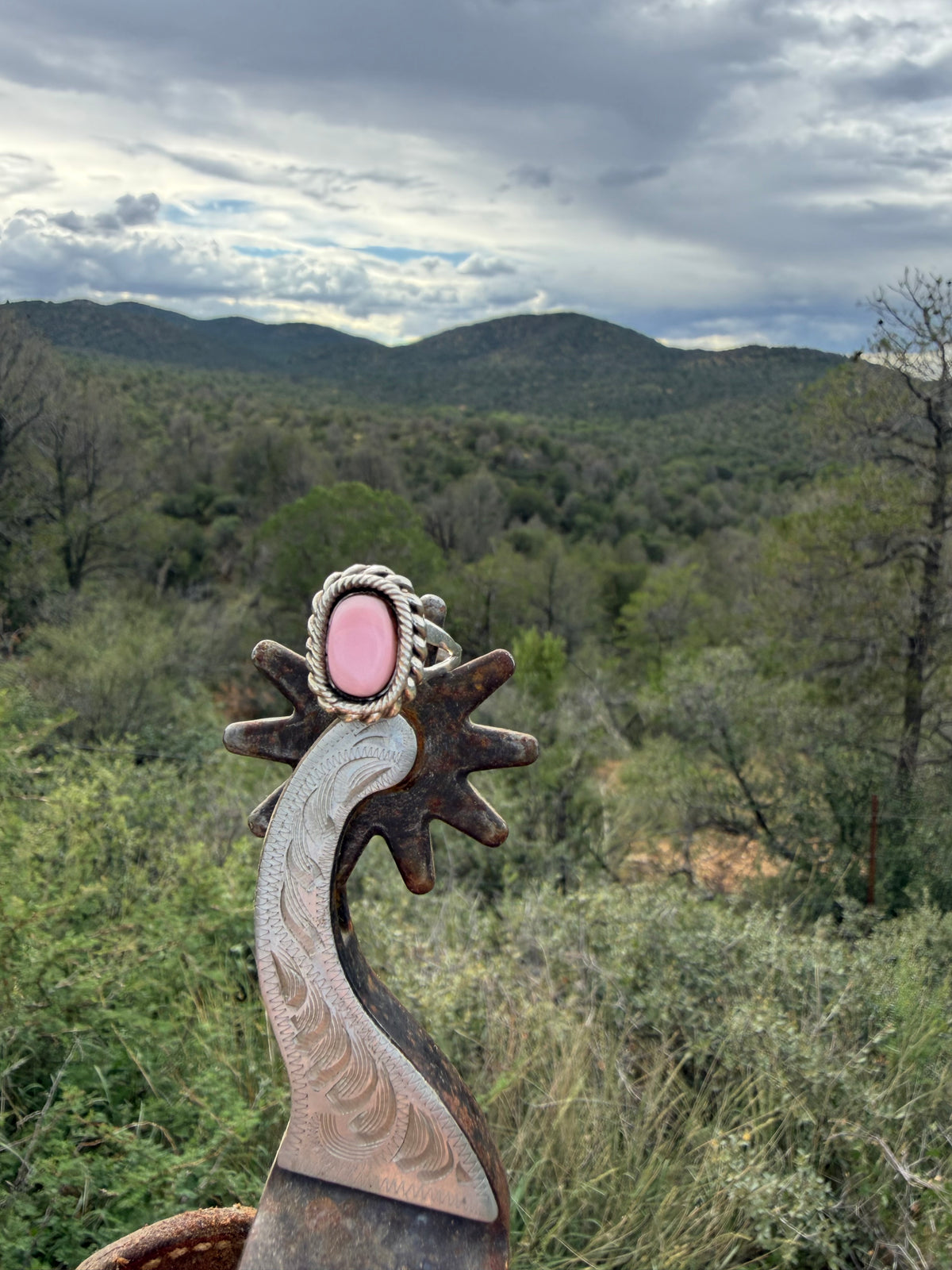 The Flamingo Ring